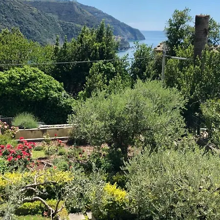 La Porta Sul Taragio 2 * Corniglia